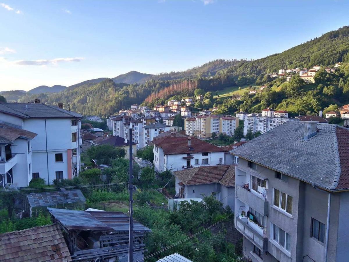 Yellow House سموليان المظهر الخارجي الصورة